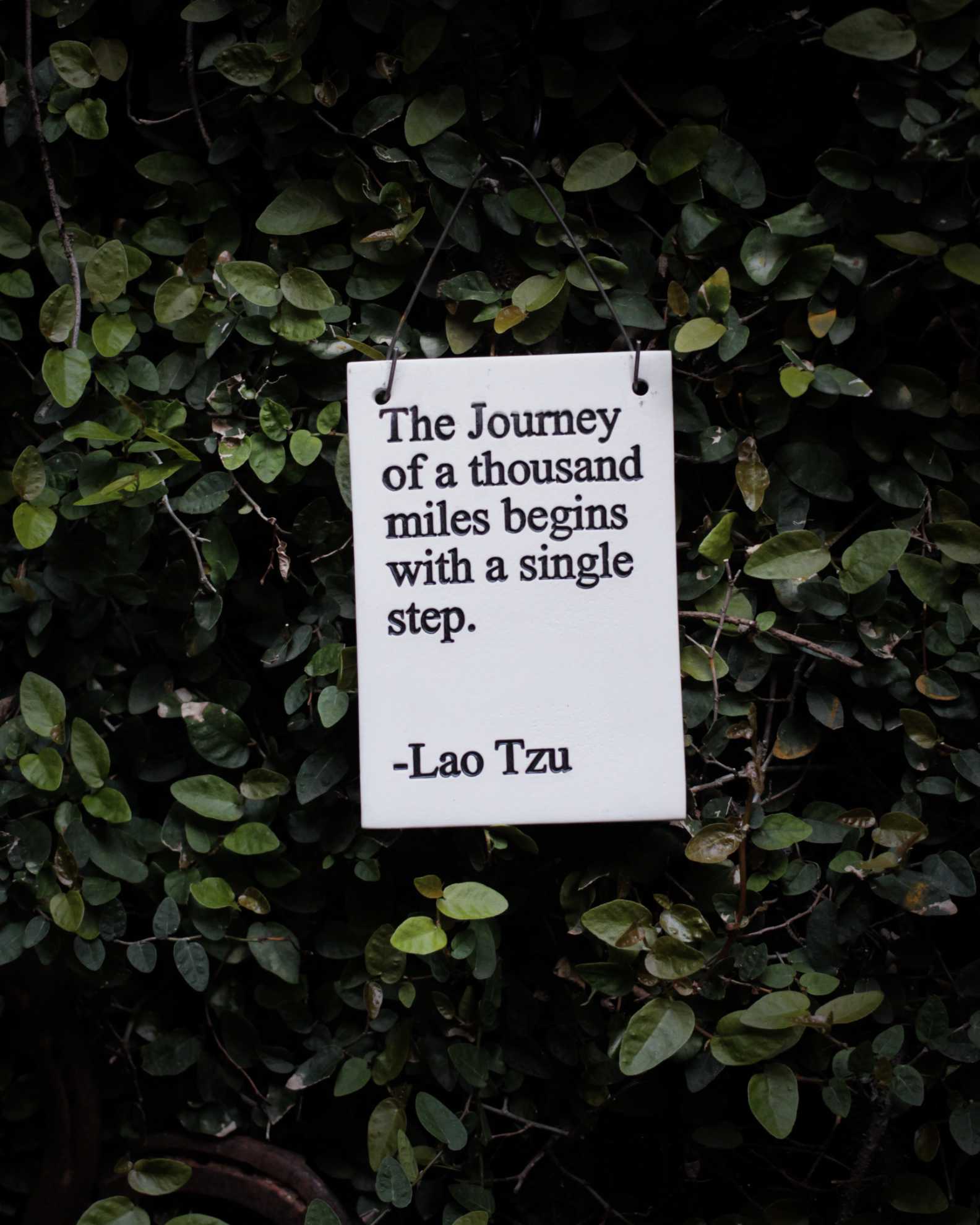 Das Bild zeigt eine Tafel vor einem Gebüsch. Auf der Tafel steht - The Journey of a thousand miles begins with a single step - Lao Tzu.